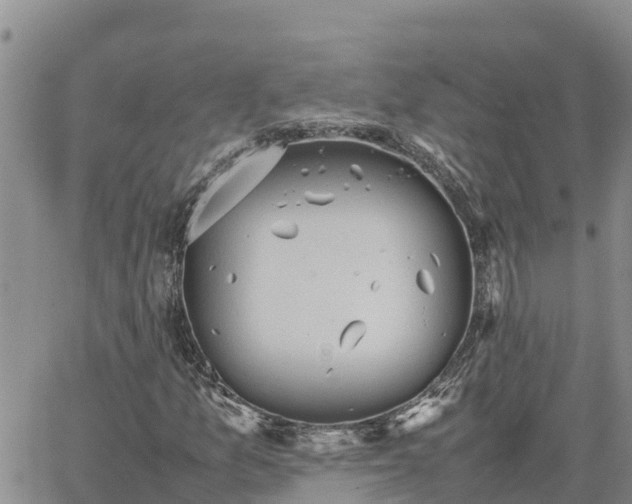 X0000064751157200602171726