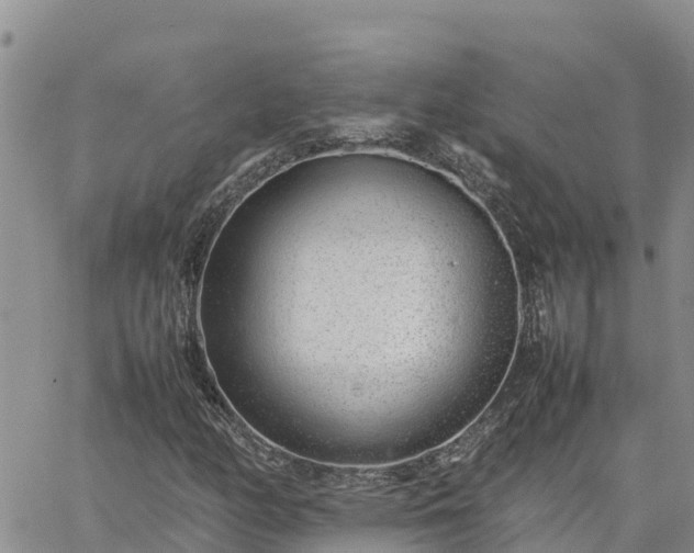 X0000064751158200602171726