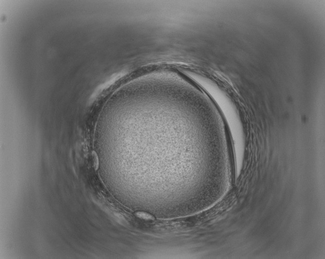 X0000064751159200602171726