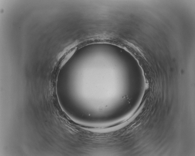 X0000064751160200602171725