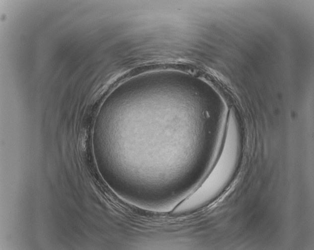 X0000064751161200602171725