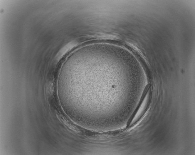 X0000064751163200602171725