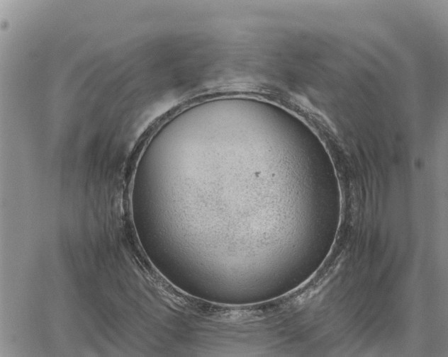 X0000064751166200602171725