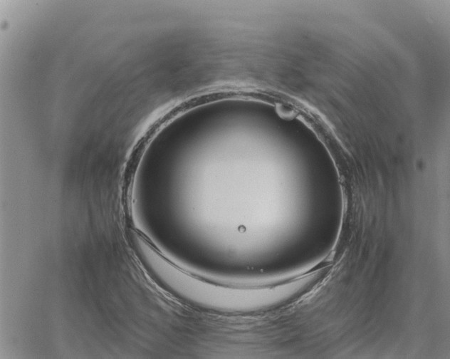 X0000064751168200602171725