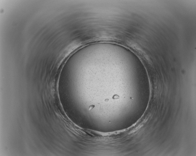 X0000064751170200602171725