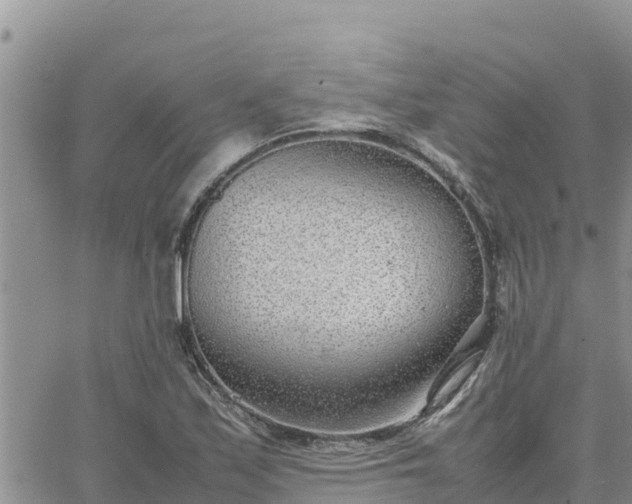 X0000064751171200602171725