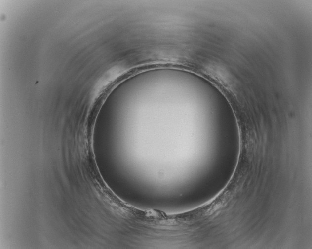 X0000064751172200602171725