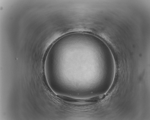 X0000064751173200602171725