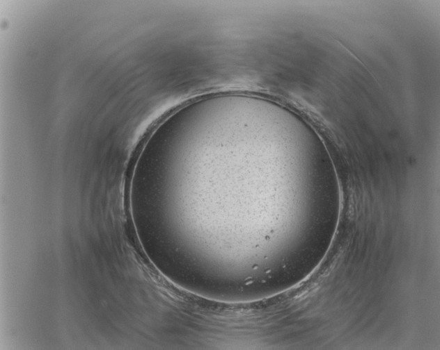 X0000064751174200602171725