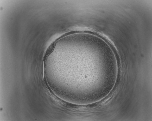 X0000064751175200602171725