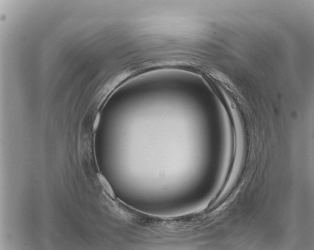 X0000064751177200602171725