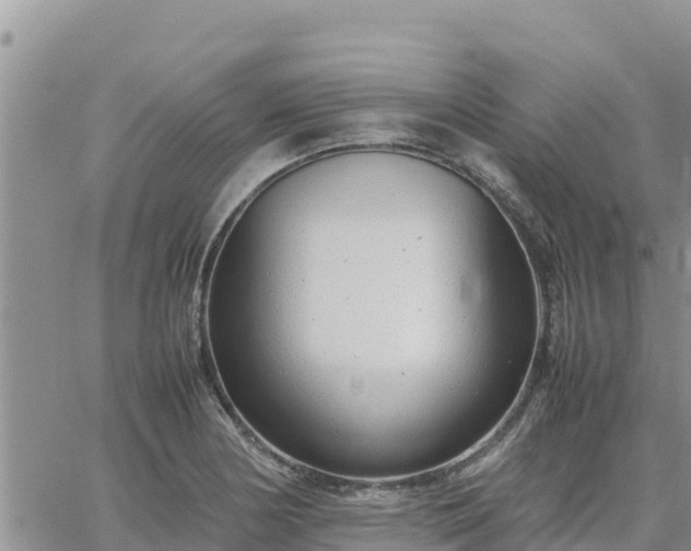 X0000064751178200602171725