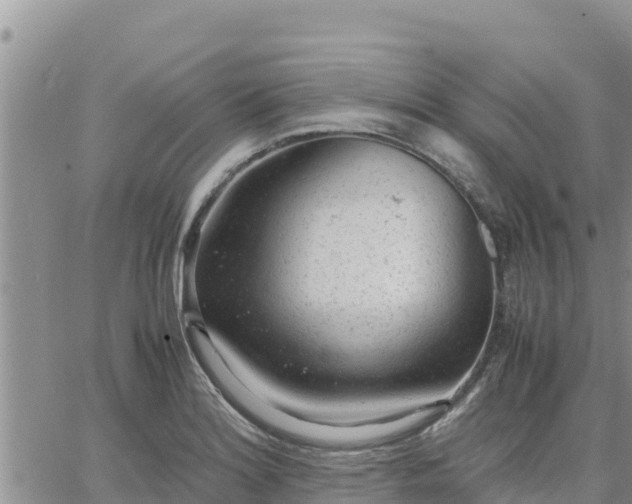 X0000064751180200602171725