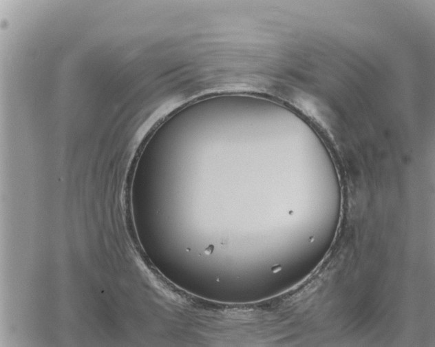 X0000064751181200602171725