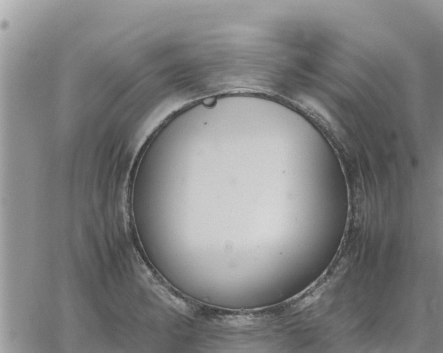 X0000064751182200602171725