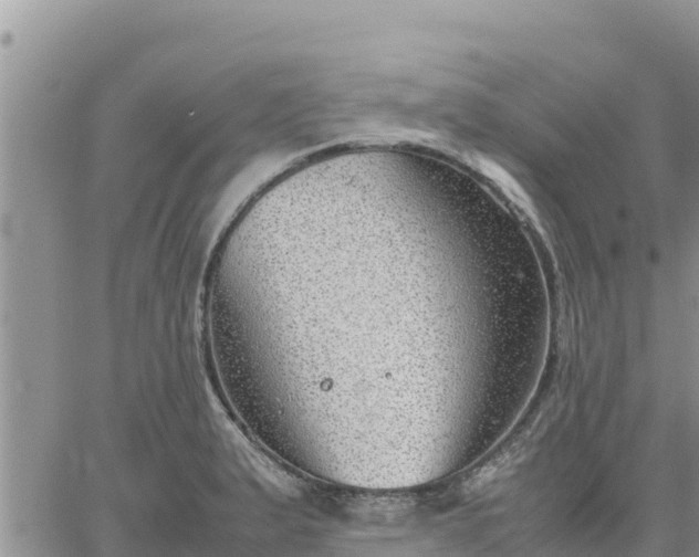 X0000064751183200602171725