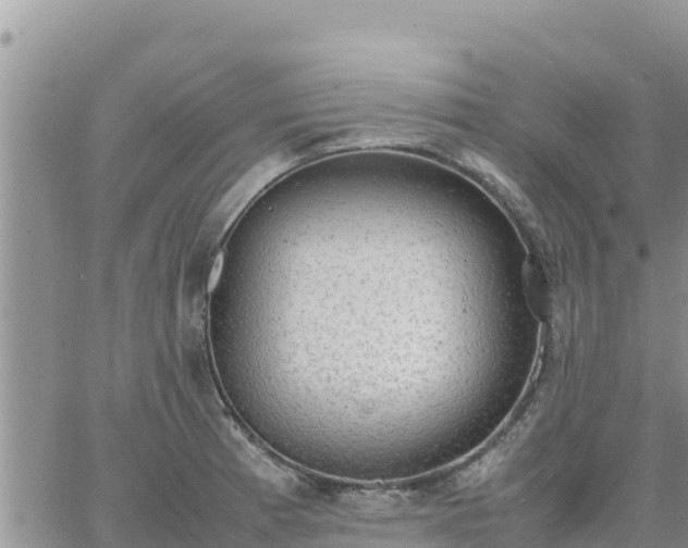 X0000064751185200602171725