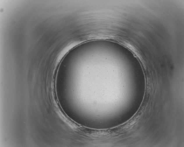 X0000064751187200602171725