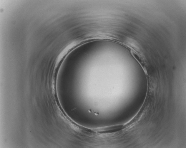 X0000064751188200602171725