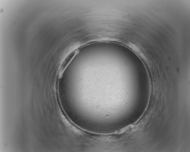 X0000064751189200602171725