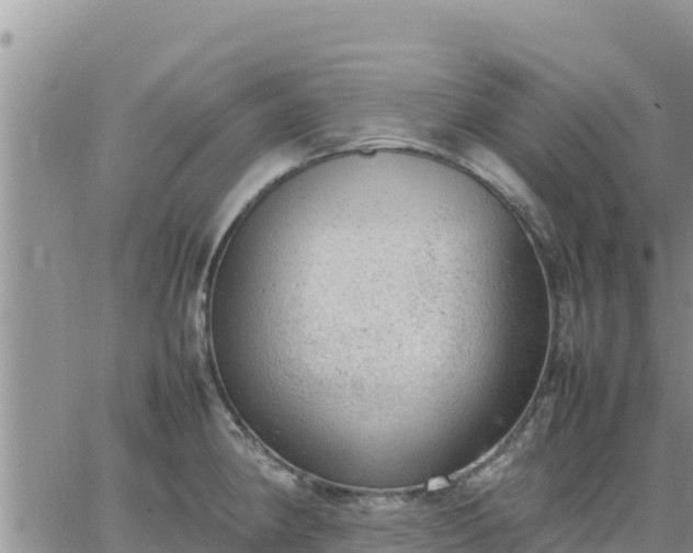 X0000064751190200602171725