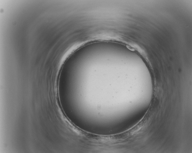 X0000064751191200602171725