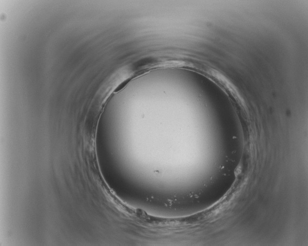 X0000064751193200602171725