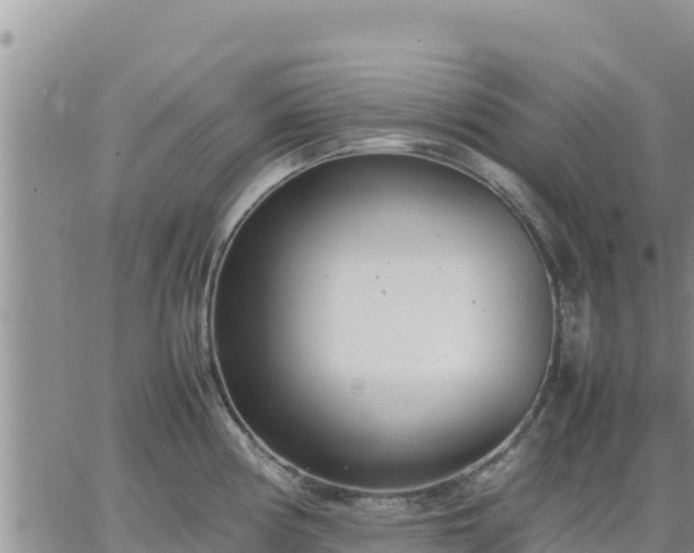 X0000064751194200602171725