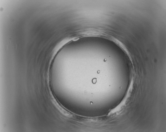 X0000064751195200602171725