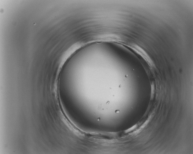 X0000064751196200602171725