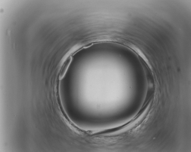 X0000064751197200602171725