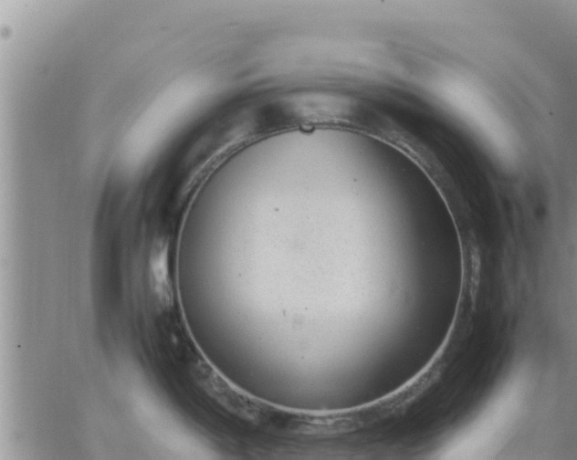 X0000064751198200602171725