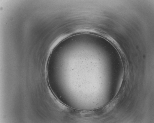 X0000064751199200602171725