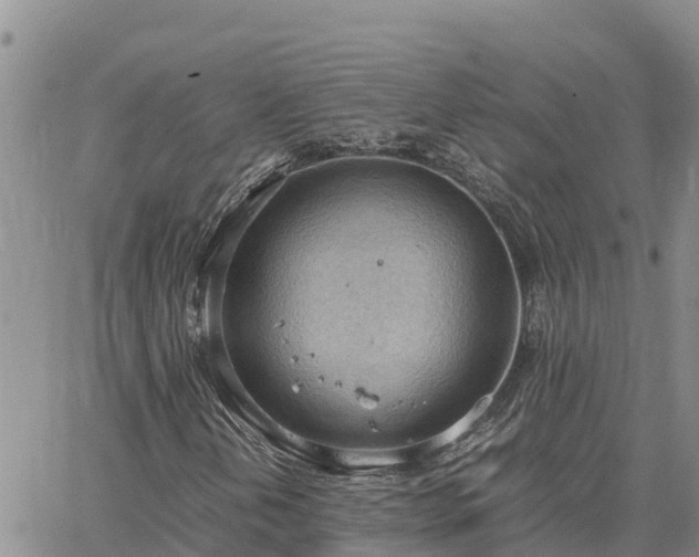 X0000064751202200602171724