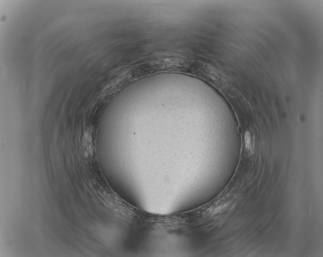 X0000064751203200602171724