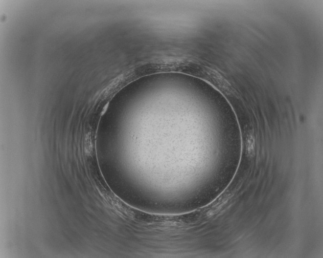 X0000064751204200602171724