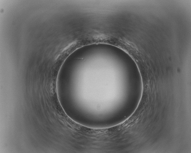 X0000064751205200602171724