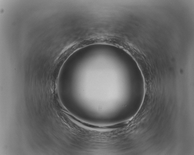 X0000064751206200602171724