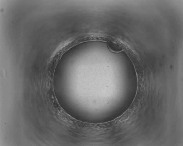 X0000064751207200602171724