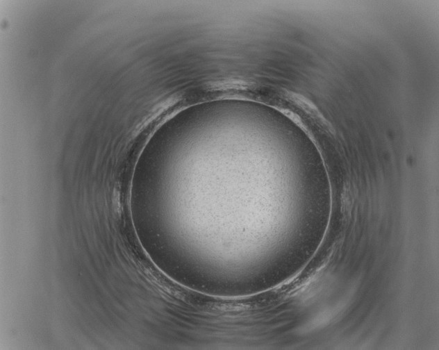 X0000064751209200602171724