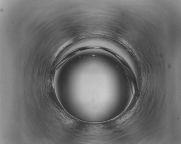 X0000064751210200602171724