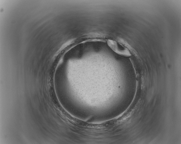 X0000064751213200602171724