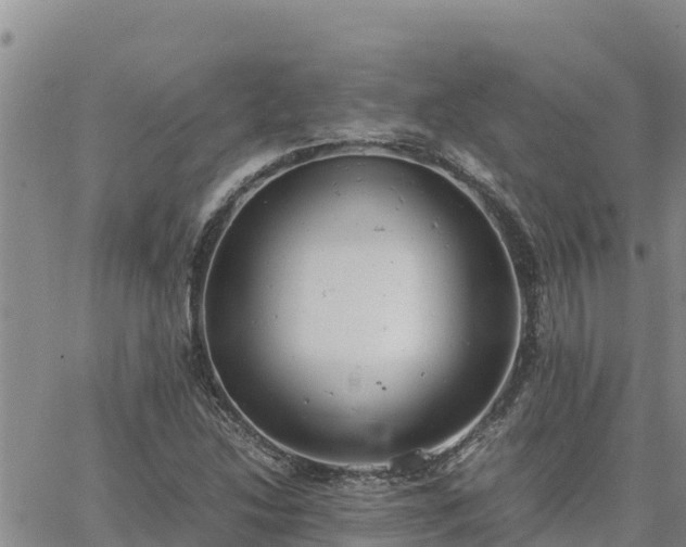 X0000064751214200602171724