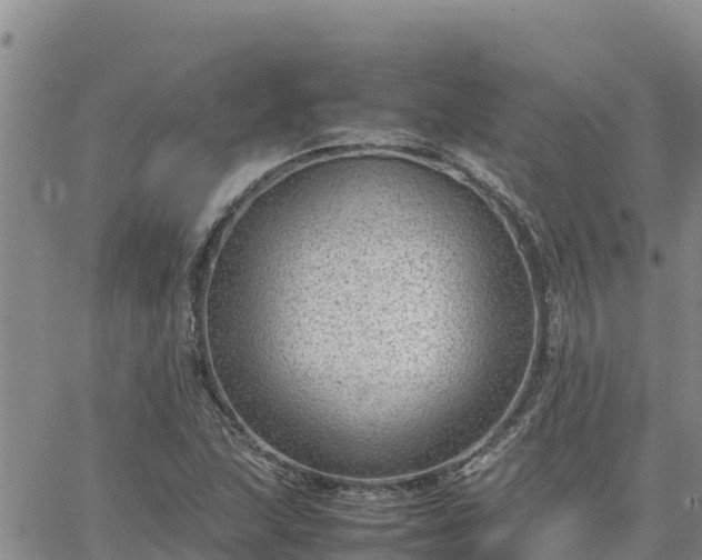 X0000064751215200602171724