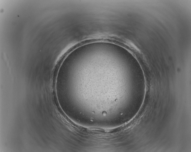 X0000064751216200602171724