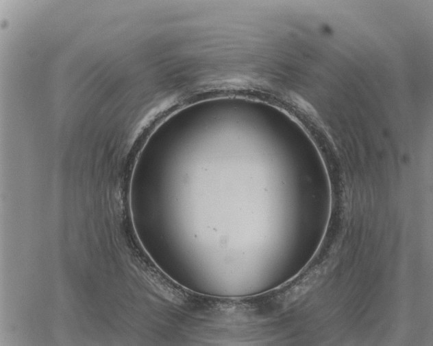 X0000064751218200602171724