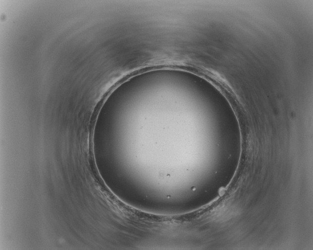 X0000064751220200602171724