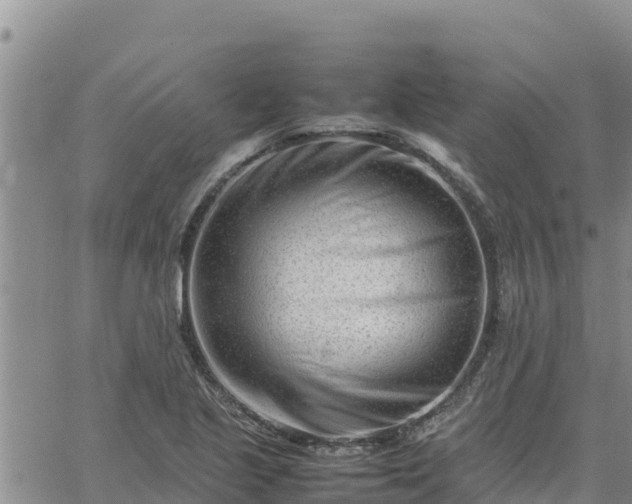 X0000064751221200602171724