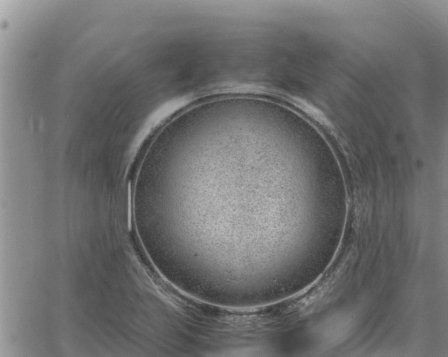 X0000064751223200602171724