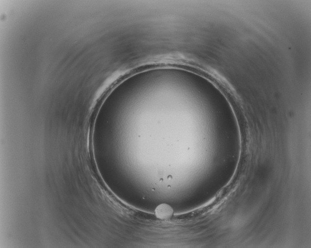 X0000064751224200602171724